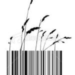 Wheat barcode