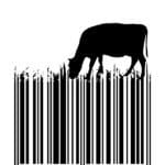 Muestra Grafica BARCODE